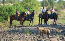 Botswana-Mashatu-Land of the Giants - Tuli Riding Safari